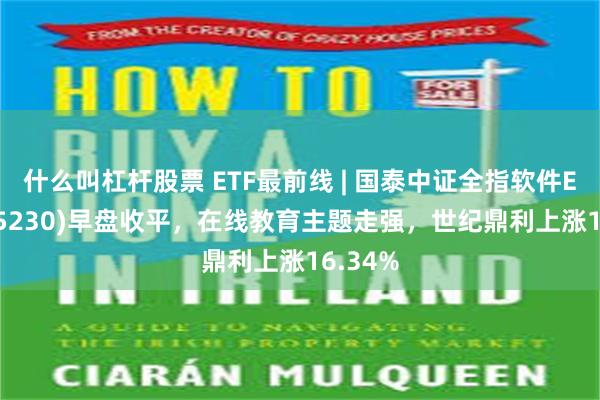 什么叫杠杆股票 ETF最前线 | 国泰中证全指软件ETF(515230)早盘收平，在线教育主题走强，世纪鼎利上涨16.34%