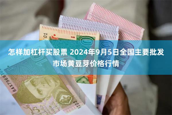 怎样加杠杆买股票 2024年9月5日全国主要批发市场黄豆芽价格行情