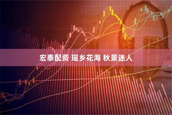 宏泰配资 瑶乡花海 秋景迷人