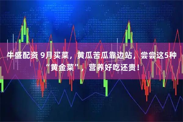 牛盛配资 9月买菜，黄瓜苦瓜靠边站，尝尝这5种“黄金菜”，营养好吃还贵！