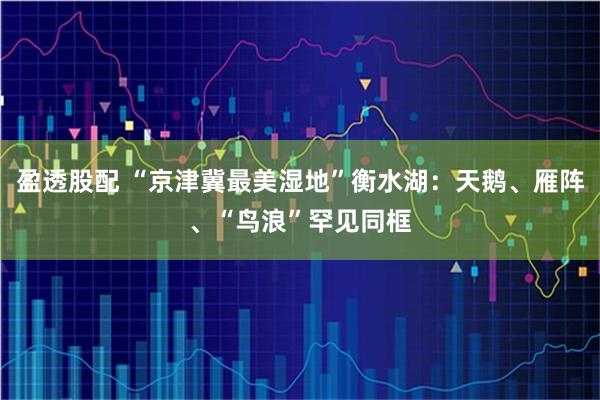 盈透股配 “京津冀最美湿地”衡水湖：天鹅、雁阵、“鸟浪”罕见同框